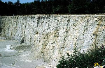 Kalksteinbruch 'Großer Berg' bei Künsebeck: Blick auf die Kalksteinwand
