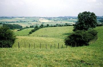 Heckenreiche Feld- und Weideflur im Märkischen Hügelland