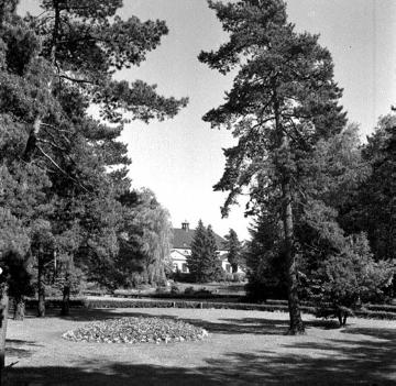 Parkanlage der Westfälischen Klinik für Psychiatrie Gütersloh, 1960.
