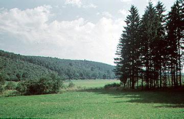 Landschaftsansicht bei Rinsdorf
