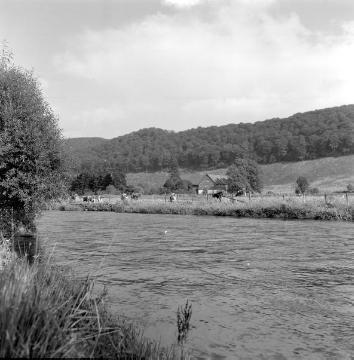 Gehöft an der Bigge nahe Gut Langenohl (zwischen Kraghammer und Waldenburg) vor der Überflutung durch den Biggestausee 1965