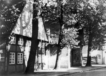 Häuserzeile mit alten Bäumen in Wiedenbrück