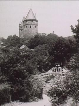 Blick aus dem Tal zur Burg Altena