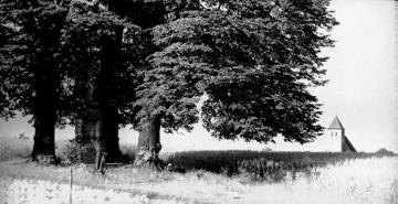 Bildstock unter Bäumen in der Nähe von Havixbeck