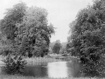 Waldsee im "Bagno", Schlosspark von Schloss Steinfurt, ehemaliger Barock- und Landschaftspark (1765 bis 1820)