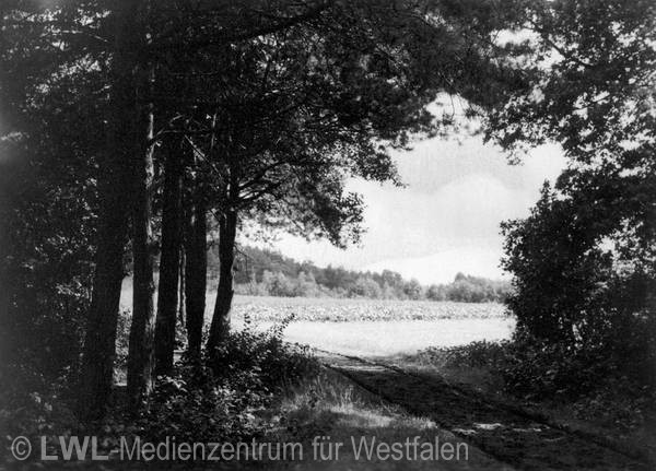 03_1541 Slg. Julius Gaertner: Westfalen und seine Nachbarregionen in den 1850er bis 1960er Jahren