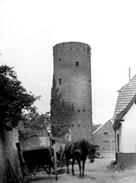 Pferdegespann vor dem Mühlenturm (ehemaliger Wehrturm)
