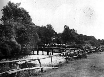 Bauerschaft Dackmar: Kühe auf einer Holzbrücke über den Muddenbach