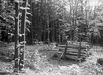 Holzstapel im Wald bei Vorbergs Hügel nördlich von Nienberge
