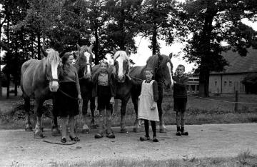 Kinder mit Pferden auf dem Hof Schürmann, genannt Roß