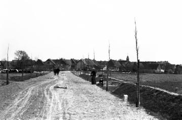 Dorfrand von Ahsen mit frisch gepflanzter Allee, evtl. Landstraße über Flaesheim und Hamm-Bossendorf nach Marl, angelegt um 1900, undatiert, um 1910?