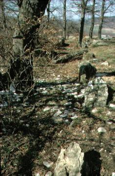 Steinkistengrab bei Etteln