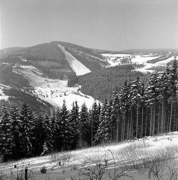 Blick auf die Skisprungschanze aus Richtung Bobbahn
