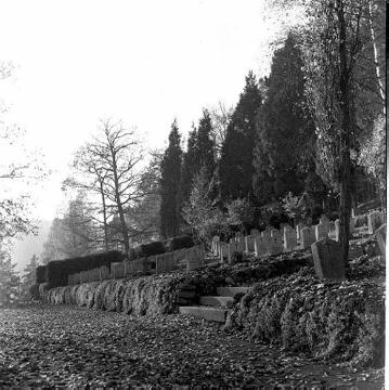 Anstaltsfriedhof der Westfälischen Klinik für Kinder- und Jugendpsychiatrie St. Johannes-Stift Marsberg, 1955.
