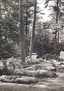 Sennefriedhof: Gräber