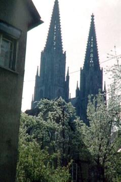 Baumblüte vor den Türmen der "Wiesenkirche" (ev. Pfarrkirche St. Maria zur Wiese)