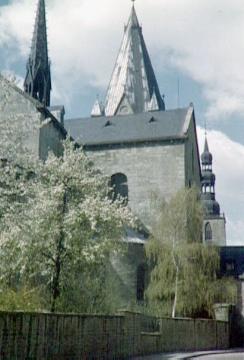 Baumblüte an der St. Patrokli-Kirche (chorseitige Ansicht)