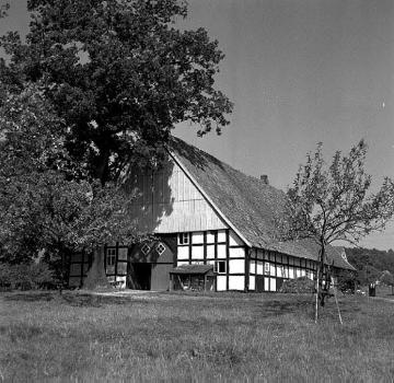 Niederdeutsches Hallenhaus vom Typ des Längsdielenhauses, Halle in Westfalen, 1958.