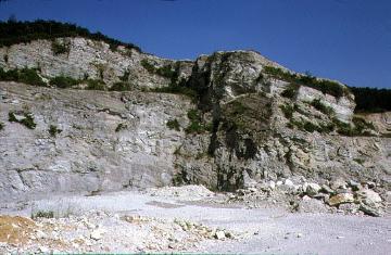 Kalksteinbruch 'Großer Berg' bei Künsebeck: Anstehendes Gestein und Haufwerk