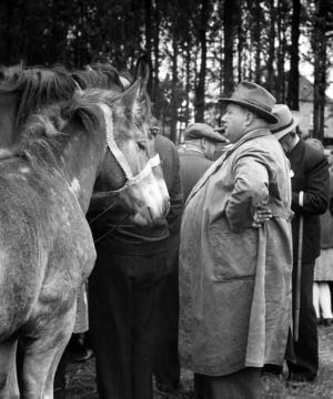 Pferdemarkt Telgte, 1949: Pferdehändler