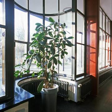 Glasfassade (Innenansicht) der Empfangshalle im ehem. Verwaltungsgebäude der Weberei Gebr. Laurenz (1854-1954, später: van Delden), heute textiles Einkaufszentrum