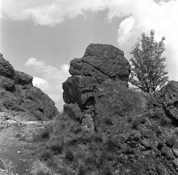 Die Bruchhauser Steine (Naturdenkmal und Naturschutzgebiet) auf dem Istenberg bei Bruchhausen - hier: Der Feldstein
