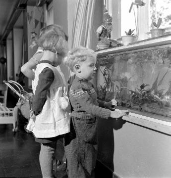 Kinderheim St. Josef: Kinder vor einem Aquarium