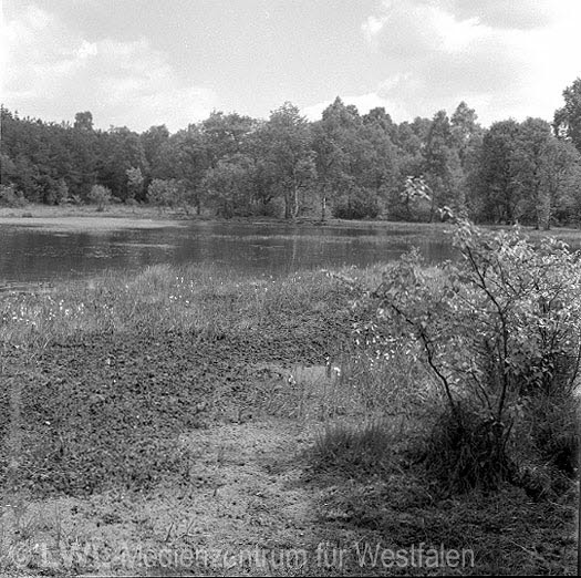 05_1477 Altkreis Coesfeld: Das Weiße Venn 1950er-70er Jahre