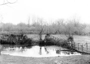 Teich auf dem Buschhof, bis 1906 Hof Punsmann - ab 1992 Biologische Station Lembeck im Naturpark Hohe Mark, Bauerschaft Beck