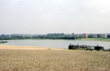 Kornfeld und Baggersee bei Lanstrop