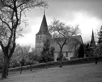 Obstbaumwiese mit Blick auf die ev. Pfarrkirche, ehemals St. Martin