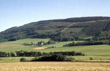 Nordseite des Ebbegebirges: Blick über Weiden und Felder auf die bewaldete Hochfläche der Nordhelle