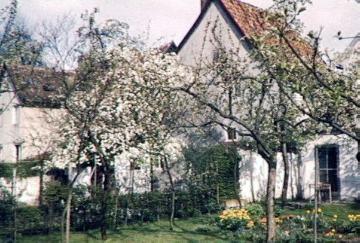 Blühende Obstbäume im Garten eines Wohnhauses