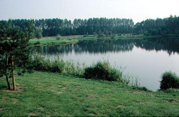 Thuner See westlich von Sennelager, ehemaliges Abgrabungsgewässer
