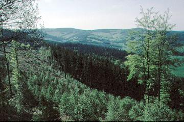 Blick vom Istenberg (NSG Bruchhauser Steine) nach Süden