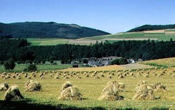 Wiesenlandschaft mit Heugarben bei Bruchhausen