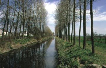 Boker Kanal bei Delbrück, 32 km langer Bewässerungskanal zwischen Paderborn-Neuhaus und Lippstadt, in Funktion 1853 bis 1970er Jahre