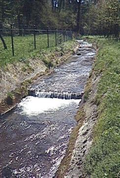 Kanalisierter Flussabschnitt der Lörmecke