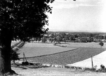 Feldflur am Fuße des Höxbergs mit Blick in das südliche Münsterland