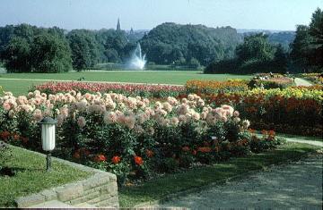 Westfalenpark: Blütenpracht auf der Bundesgartenschau 1959