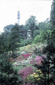 Westfalenpark, Bundesgartenschau 1959