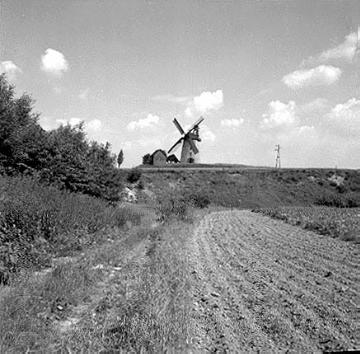 Die Liesbergmühle in Enger, um 1973 - auf einer Anhöhe von 118 Meter Höhe errichtet 1756, stillgelegt 1960, Wahrzeichen der Stadt.