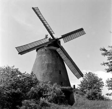 Lindemanns Mühle bei Vlotho-Exter, in Betrieb ca. 1850-1960, später Schaumühle des Vereins Windmühle Exter, technisches Denkmal