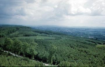 Blick vom Bismarckturm über den bewaldeten Stuckenberg