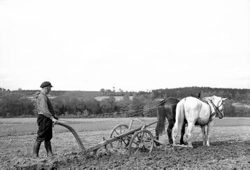 Bauer beim Pflügen mit Holzpflug und Pferdegespann