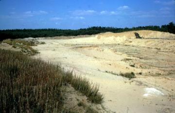 Sandabbau in der Dünenlandschaft der Bockholter Berge südlich von Greven, 1964