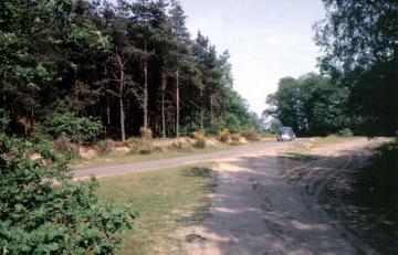 Straße zum Wasserwerk Greven im Naturschutzgebiet Hüttruper Heide (Greven, Nähe Flughafen Münster/Osnabrück)