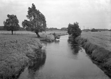 Begradigte Ems mit gehölzarmen Uferweiden (Flussregulierung der Periode 1908-1913)