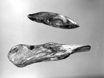 Zeugnisse der Vorzeit: steinzeitliches Werkzeug, Axt aus Hirschhorn und Beil aus Feuerstein