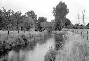 Blick über die Ems zur Wassermühle bei Westerloh